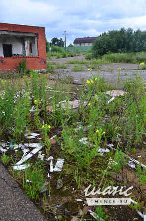 продажа - другое Смоленск - изображение 5