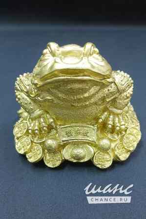 Денежная жаба Краснодар - изображение 1