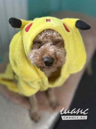 Сдаётся комната  м², в квартире-студии, этаж 1/5 Москва - изображение 3