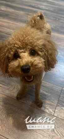 Сдаётся комната  м², в квартире-студии, этаж 1/5 Москва - изображение 7