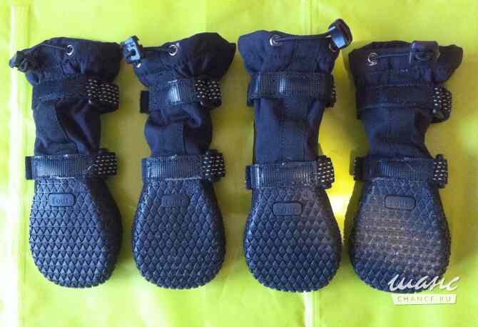 Обувь (ботинки) для собак утеплённая Щёлково - изображение 2