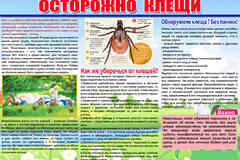 Санитарный бюллетень (Санбюллетень) за 1 час