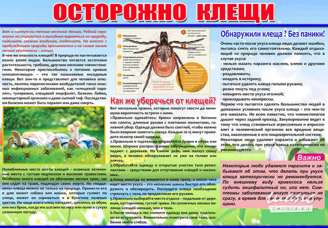 Санитарный бюллетень (Санбюллетень) за 1 час Уфа - изображение 1