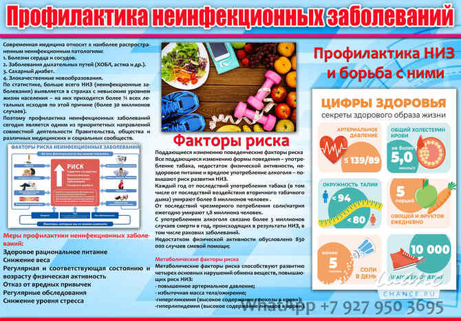 Санитарный бюллетень (Санбюллетень) за 1 час Уфа - изображение 2