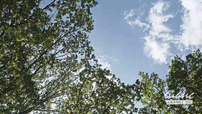 Сдам в аренду гараж 14 м Москва - изображение 1