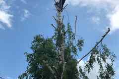 Выполняем все виды строительных работ