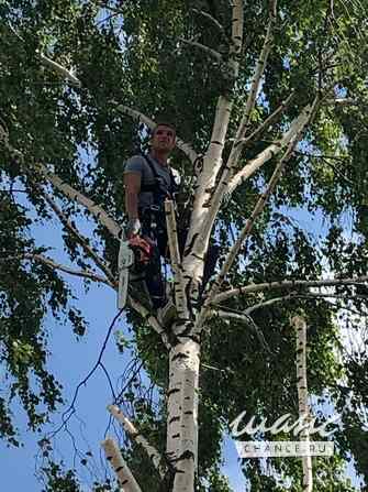 Выполняем все виды строительных работ Ковров - изображение 2