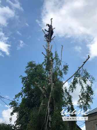 Выполняем все виды строительных работ Ковров - изображение 1