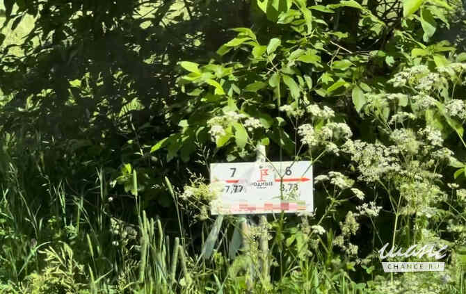 Земельный участок 8 соток Дмитров - изображение 6