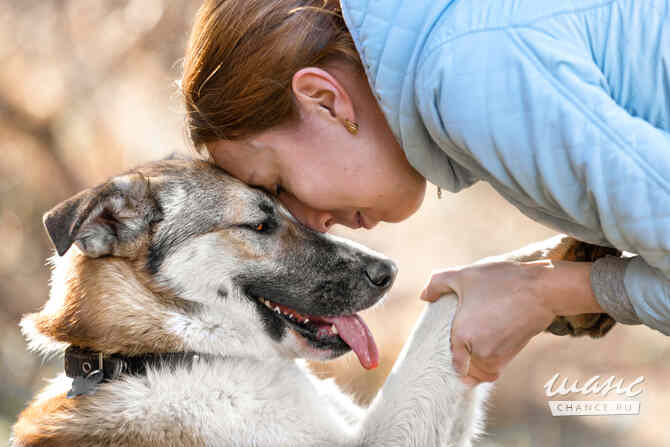Борей ищет дом Санкт-Петербург - изображение 9