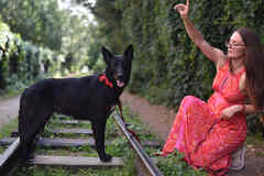 Рия ищет дом