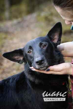 Рия ищет дом Санкт-Петербург - изображение 8