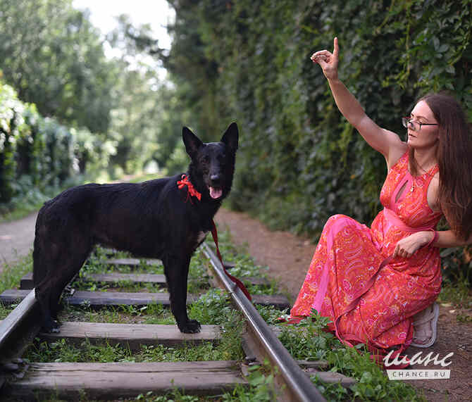 Рия ищет дом Санкт-Петербург - изображение 1