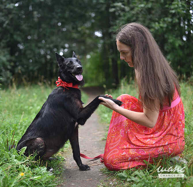 Рия ищет дом Санкт-Петербург - изображение 3