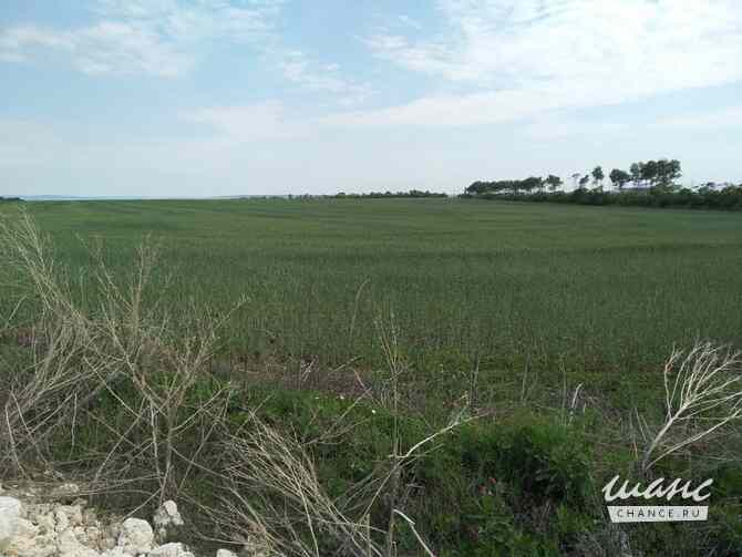 Земельный участок 100 соток, Светлодольская улица Сергиевск - изображение 1