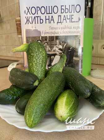 Коттедж 436 м², Шлюзовая улица, 12 Г Раменское - изображение 1