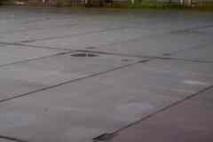 Участок промназначения 8 соток сдам напрямую.(п. Шушары)