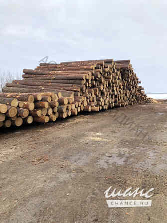 Поставка пиломатериалов,доска,брус,кругляк оптом,отгрузка от 5-10 м3 по России Санкт-Петербург - изображение 3