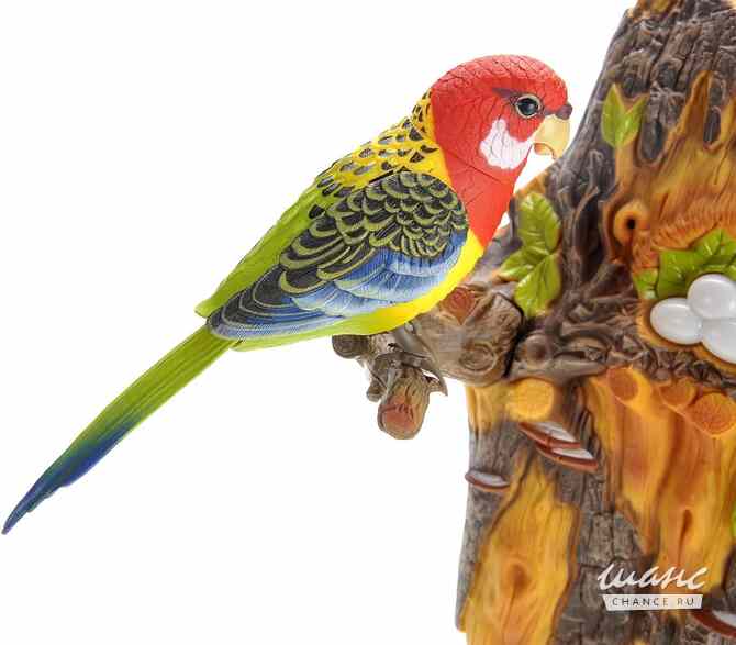 Настенная декоративная поющая птичка Астрахань - изображение 1