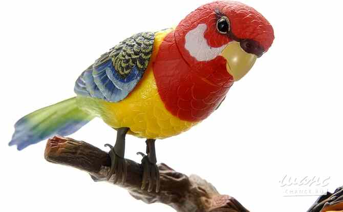 Настенная декоративная поющая птичка Астрахань - изображение 2