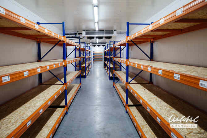 аренда - производственные и складские помещения Рамонь - изображение 5