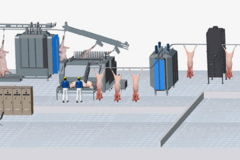 Линии убоя КРС и свиней