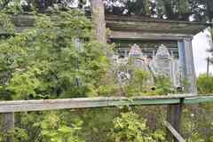 Продам земельный участок 25 соток, ИЖС, Новосибирск