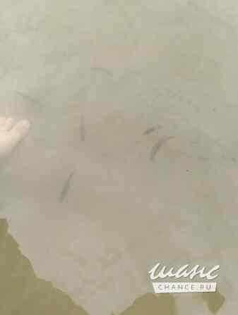 Продам земельный участок 25 соток, ИЖС, Новосибирск Новосибирск - изображение 5