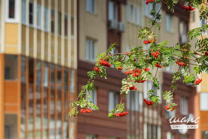 аренда - помещения различного назначения Москва - изображение 6