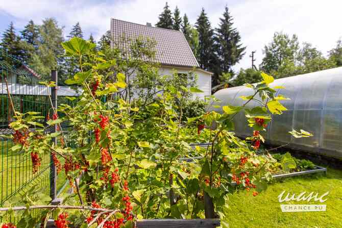 Дача 89 м², Березовая улица Приозерск - изображение 6