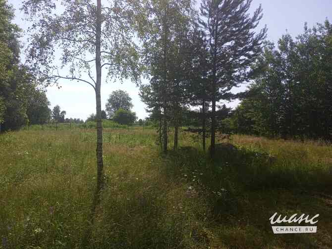 Земельный участок 23 соток, ИЖС, Ленинградская ул. Приозерск - изображение 9