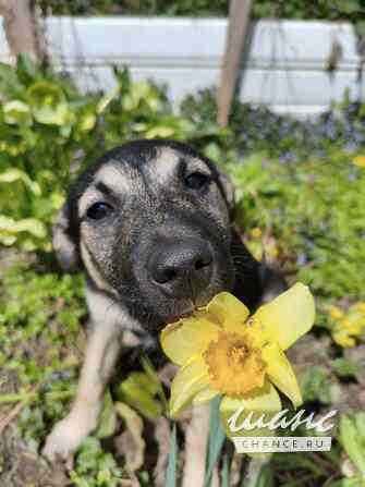 Маленькая крошка с большой любовью к игрушкам Санкт-Петербург - изображение 3