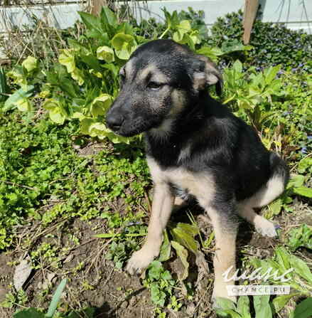 Маленькая крошка с большой любовью к игрушкам Санкт-Петербург - изображение 5