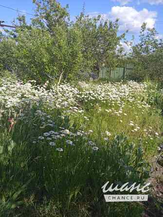 Садовый участок на реке Курдюм Саратов - изображение 2