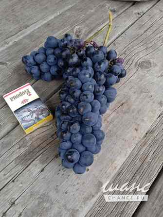 Садовый участок на реке Курдюм Саратов - изображение 3