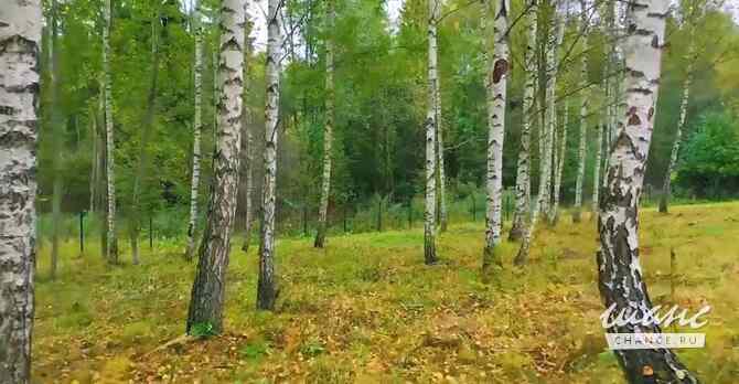 Земельный участок 130 соток, ИЖС  - изображение 5