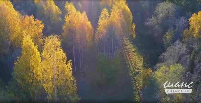 Земельный участок 130 соток, ИЖС  - изображение 4