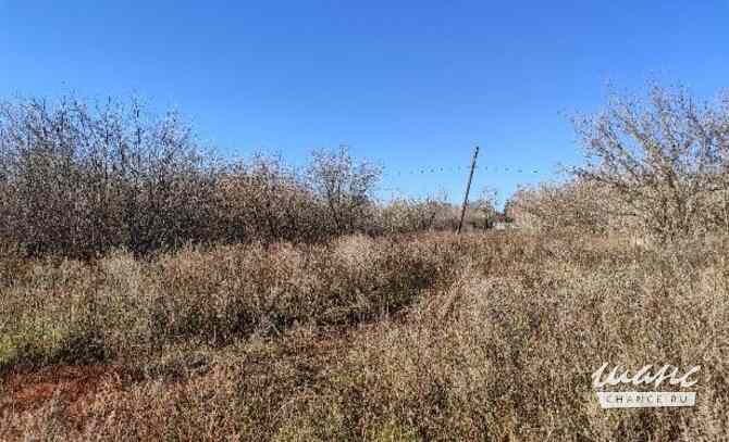 Земельный участок 128 соток, Совхоз Медведево территория Ижевск - изображение 6