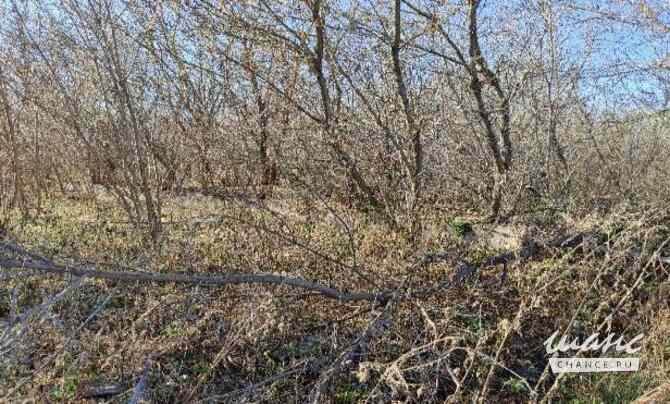 Земельный участок 128 соток, Совхоз Медведево территория Ижевск - изображение 8