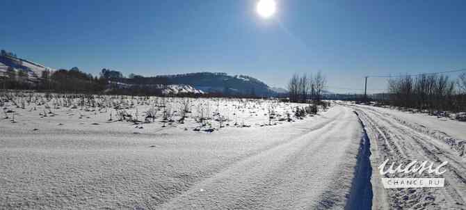 Земельный участок 150 соток, Алтайская ул.  - изображение 5