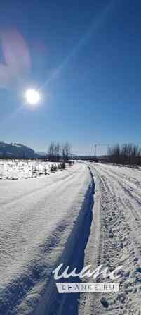 Земельный участок 150 соток, Алтайская ул.  - изображение 4