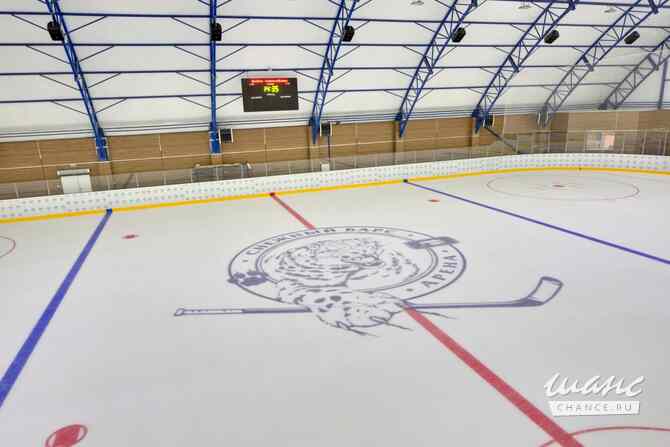 Ледовая арена «Снежный барс» Москва - изображение 2