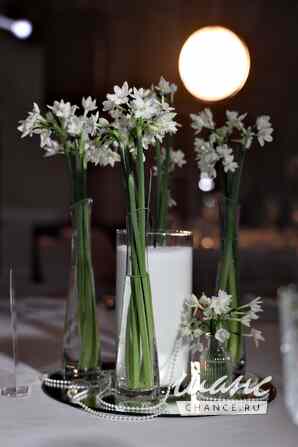 Хотите свадьбу «как в Pinterest», а не «как у всех»? ✨ Новосибирск - изображение 9