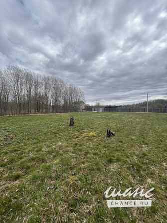 Продам земельный участок 10 соток, ЛПХ, Тосно Тосно - изображение 3