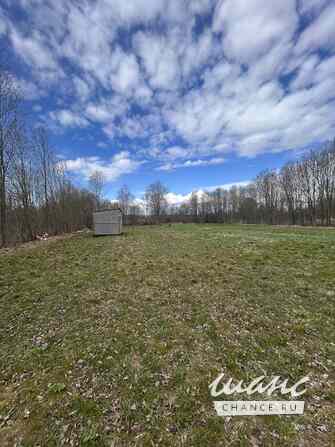 Продам земельный участок 10 соток, ЛПХ, Тосно Тосно - изображение 1