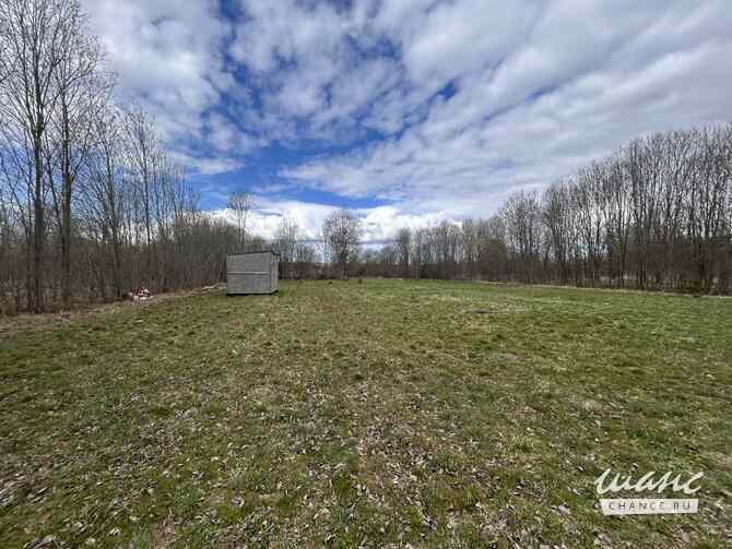 Продам земельный участок 10 соток, ЛПХ, Тосно Тосно - изображение 4