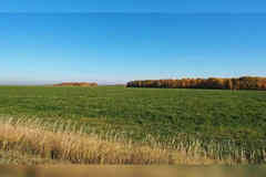 Земельный участок 158938 соток, Приозёрная улица