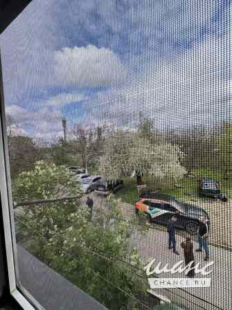 2-к квартира, 53.5 м², этаж 2/2  - изображение 9