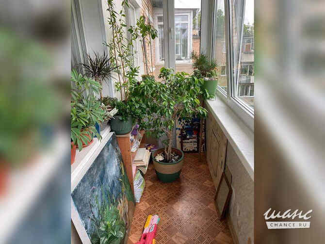 1-к квартира, 43.3 м², этаж 5/5 Владивосток - изображение 5