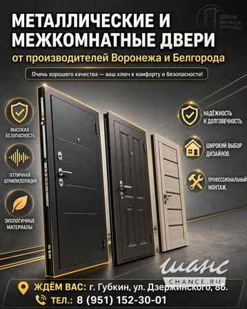 Металлические и межкомнатные двери от производителей Воронеж и Белгород Губкин - изображение 2